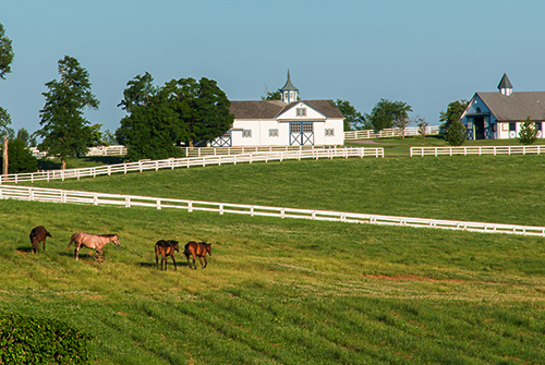 What are the three major horse races in the us What are the three major horse races in the us